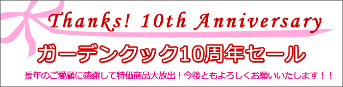 10周年セール